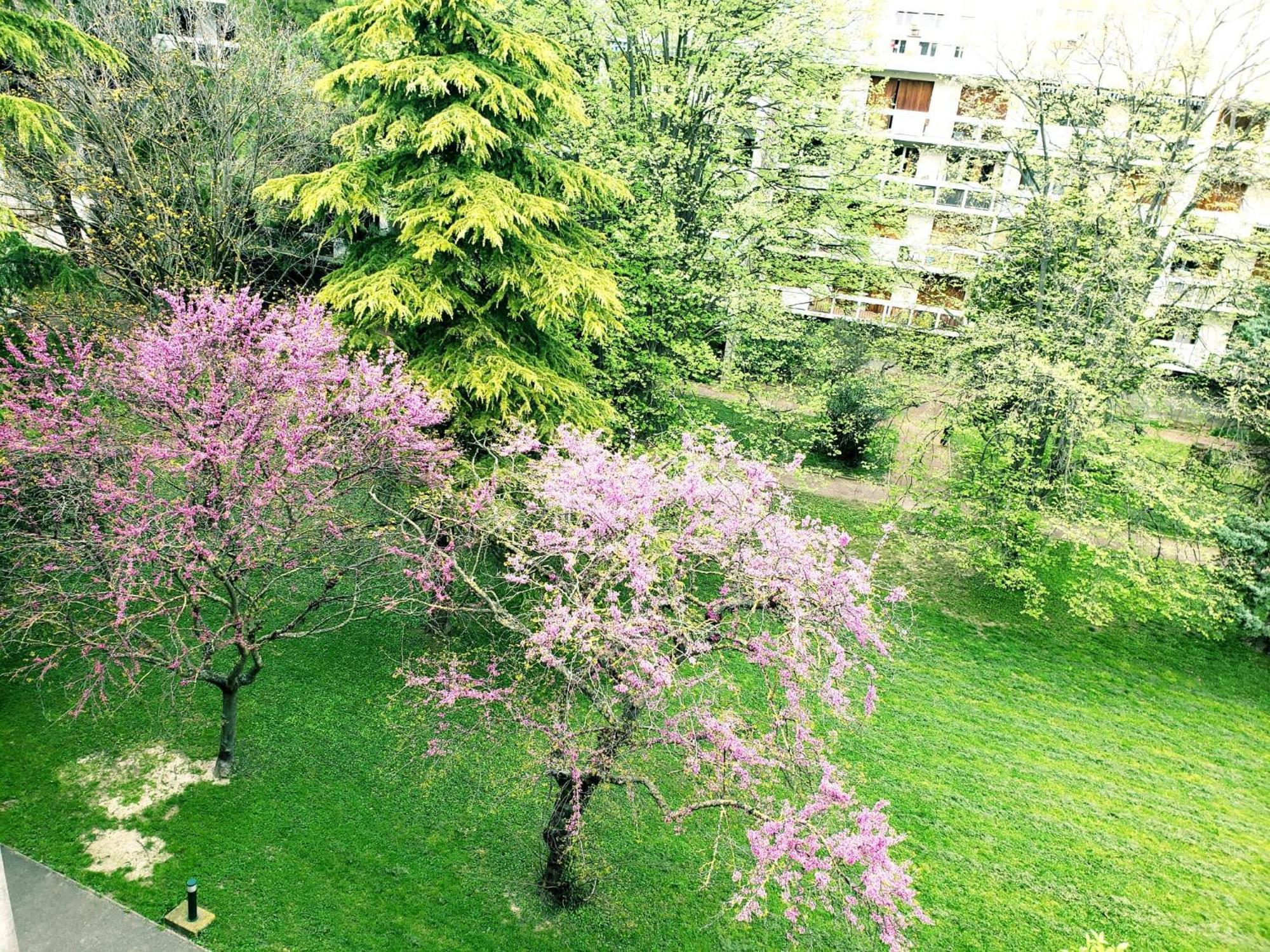 Suite From 1 To 6 - Bathtubs In Rooms - Air Conditioned Residential Appartement - Self-Arrival - Wifi - Netflix Disney - Kitchen - Laundry - Parking Avignon Extérieur photo